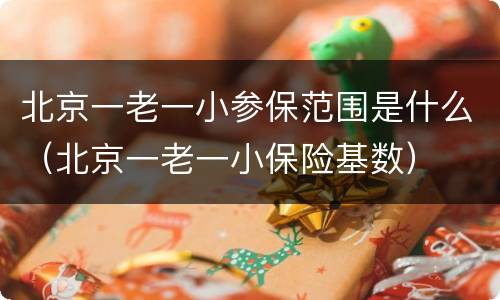 北京一老一小参保范围是什么（北京一老一小保险基数）