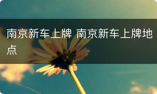 南京新车上牌 南京新车上牌地点