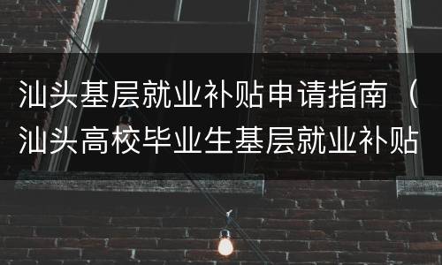 汕头基层就业补贴申请指南（汕头高校毕业生基层就业补贴）