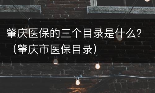 肇庆医保的三个目录是什么？（肇庆市医保目录）