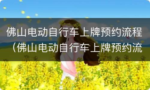 佛山电动自行车上牌预约流程（佛山电动自行车上牌预约流程图片）