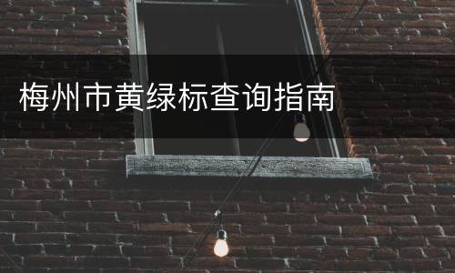 梅州市黄绿标查询指南