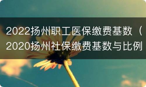 2022扬州职工医保缴费基数（2020扬州社保缴费基数与比例）