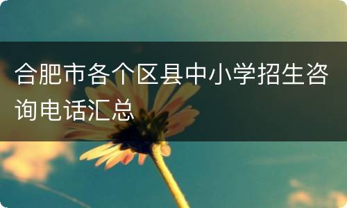 合肥市各个区县中小学招生咨询电话汇总