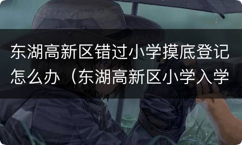 东湖高新区错过小学摸底登记怎么办（东湖高新区小学入学政策）