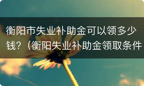 衡阳市失业补助金可以领多少钱?（衡阳失业补助金领取条件及标准2020）