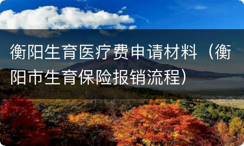 衡阳生育医疗费申请材料（衡阳市生育保险报销流程）