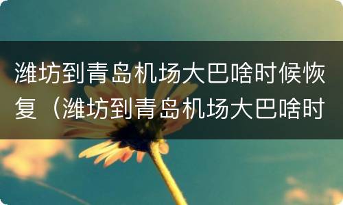 潍坊到青岛机场大巴啥时候恢复（潍坊到青岛机场大巴啥时候恢复运行）