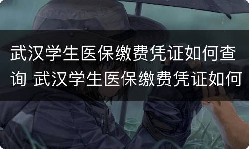 武汉学生医保缴费凭证如何查询 武汉学生医保缴费凭证如何查询余额