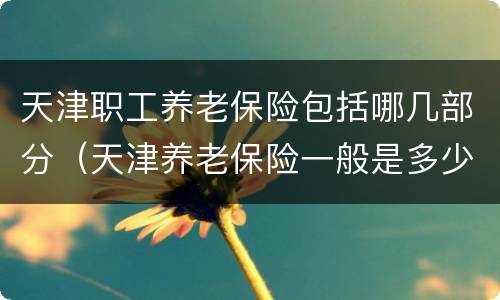 天津职工养老保险包括哪几部分（天津养老保险一般是多少）