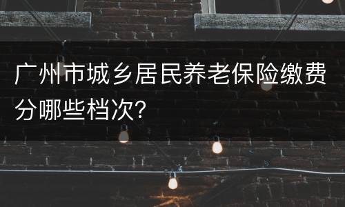 广州市城乡居民养老保险缴费分哪些档次？