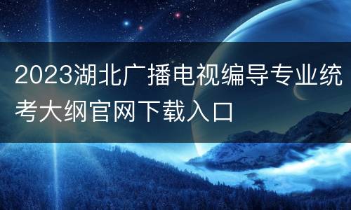 2023湖北广播电视编导专业统考大纲官网下载入口