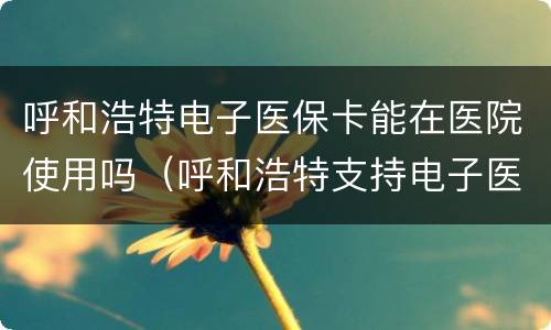 呼和浩特电子医保卡能在医院使用吗（呼和浩特支持电子医保卡吗）