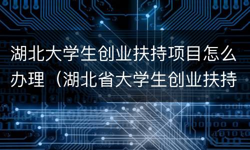 湖北大学生创业扶持项目怎么办理（湖北省大学生创业扶持项目）