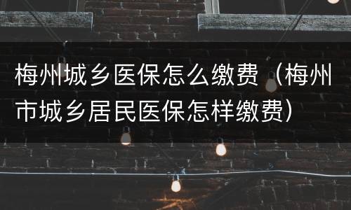 梅州城乡医保怎么缴费（梅州市城乡居民医保怎样缴费）
