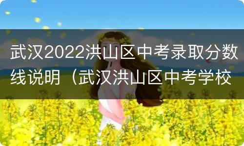 武汉2022洪山区中考录取分数线说明（武汉洪山区中考学校均分排行）