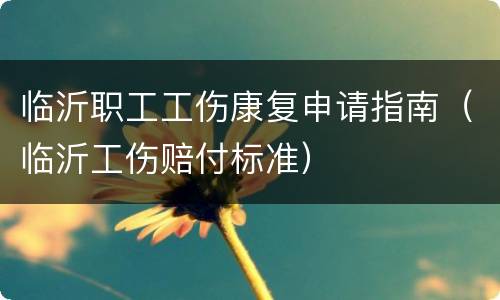 临沂职工工伤康复申请指南（临沂工伤赔付标准）