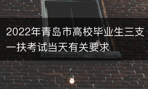 2022年青岛市高校毕业生三支一扶考试当天有关要求