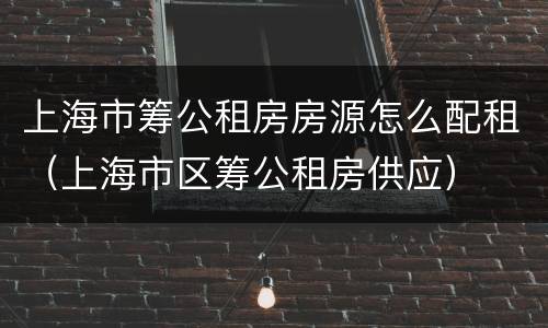 上海市筹公租房房源怎么配租（上海市区筹公租房供应）
