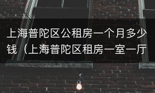 上海普陀区公租房一个月多少钱（上海普陀区租房一室一厅价格）
