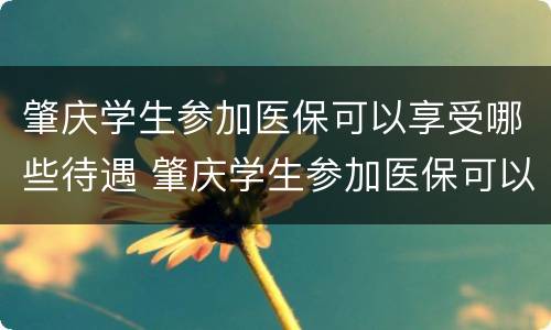 肇庆学生参加医保可以享受哪些待遇 肇庆学生参加医保可以享受哪些待遇呢
