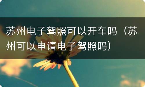 苏州电子驾照可以开车吗（苏州可以申请电子驾照吗）