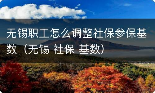 无锡职工怎么调整社保参保基数（无锡 社保 基数）