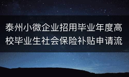 泰州小微企业招用毕业年度高校毕业生社会保险补贴申请流程