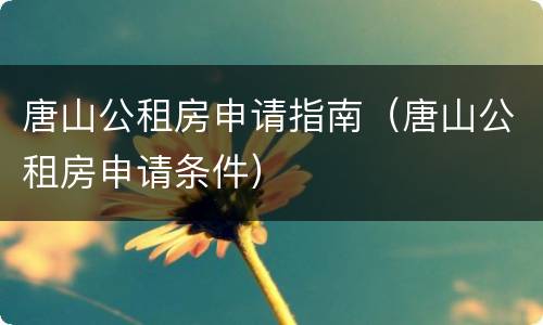 唐山公租房申请指南（唐山公租房申请条件）