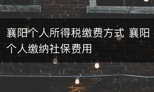 襄阳个人所得税缴费方式 襄阳个人缴纳社保费用