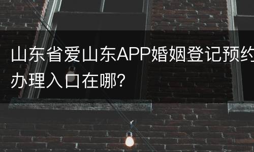 山东省爱山东APP婚姻登记预约办理入口在哪？