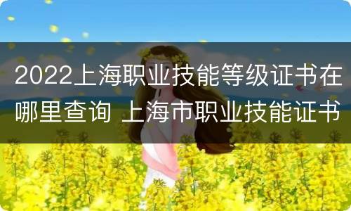 2022上海职业技能等级证书在哪里查询 上海市职业技能证书查询