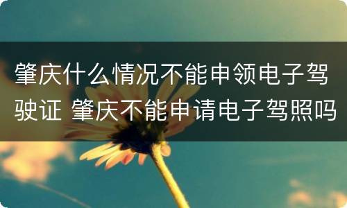 肇庆什么情况不能申领电子驾驶证 肇庆不能申请电子驾照吗