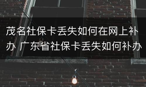 茂名社保卡丢失如何在网上补办 广东省社保卡丢失如何补办