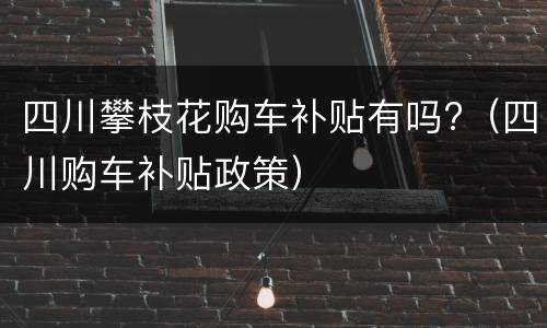 四川攀枝花购车补贴有吗?（四川购车补贴政策）