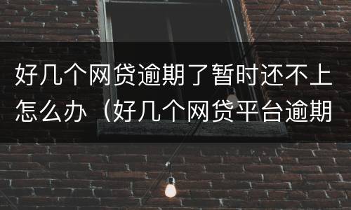 好几个网贷逾期了暂时还不上怎么办（好几个网贷平台逾期还不上怎么办）