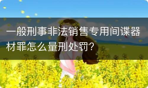 一般刑事非法销售专用间谍器材罪怎么量刑处罚?