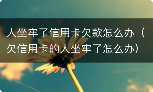 人坐牢了信用卡欠款怎么办（欠信用卡的人坐牢了怎么办）