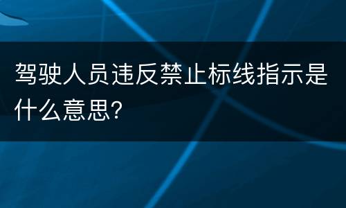 驾驶人员违反禁止标线指示是什么意思？