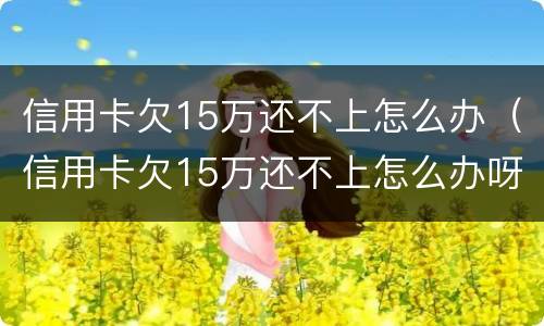 信用卡欠15万还不上怎么办（信用卡欠15万还不上怎么办呀）
