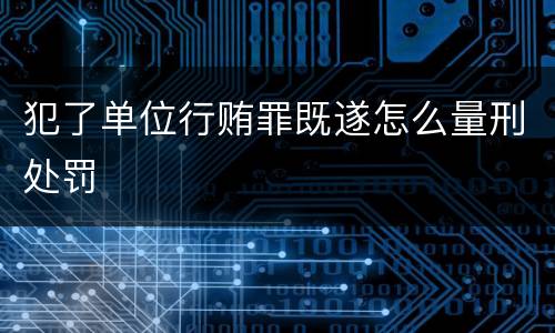 犯了单位行贿罪既遂怎么量刑处罚