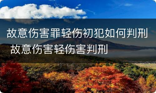 故意伤害罪轻伤初犯如何判刑 故意伤害轻伤害判刑