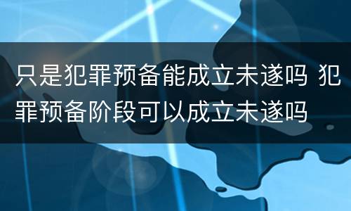 只是犯罪预备能成立未遂吗 犯罪预备阶段可以成立未遂吗