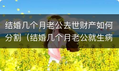 结婚几个月老公去世财产如何分割（结婚几个月老公就生病了可以离婚吗）