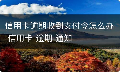 信用卡逾期收到支付令怎么办 信用卡 逾期 通知