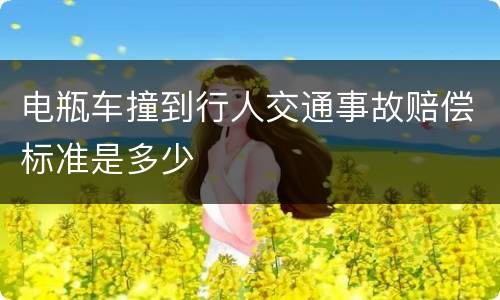 电瓶车撞到行人交通事故赔偿标准是多少