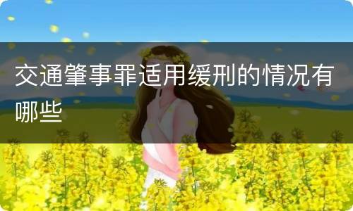 交通肇事罪适用缓刑的情况有哪些