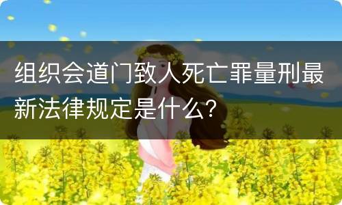 组织会道门致人死亡罪量刑最新法律规定是什么？