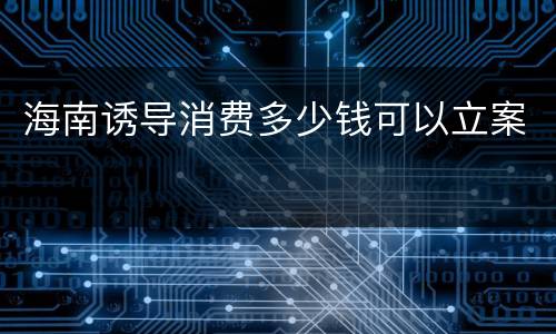 海南诱导消费多少钱可以立案