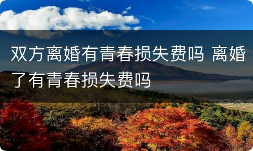 双方离婚有青春损失费吗 离婚了有青春损失费吗